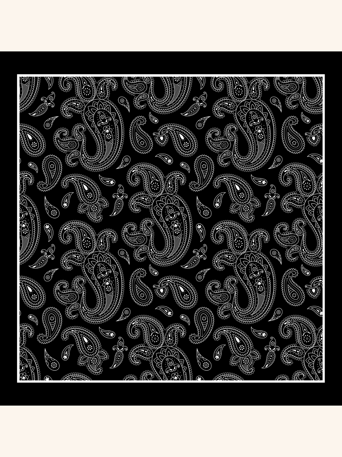 Black with Heavy White Paisley Silk Pocket Square
