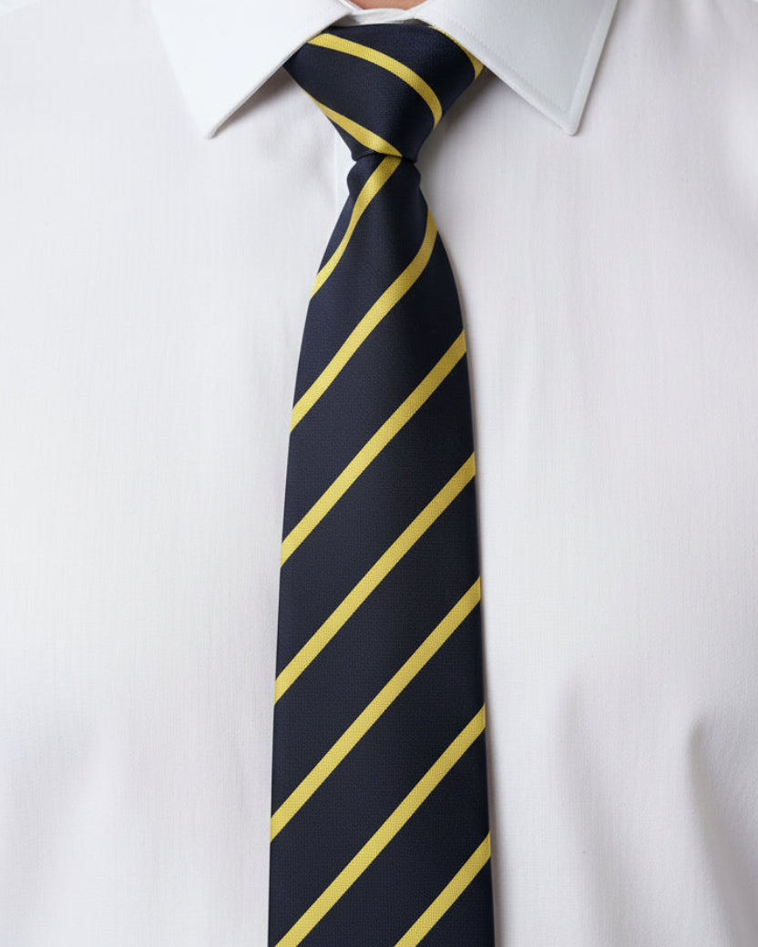 Navy Gold Regimental Stripe Tie