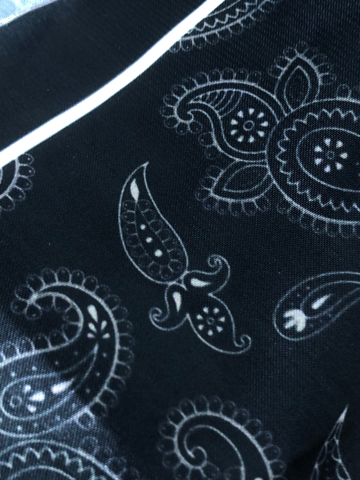 Black with Heavy White Paisley Silk Pocket Square