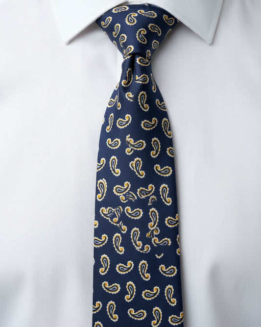 Navy Paisley Tie
