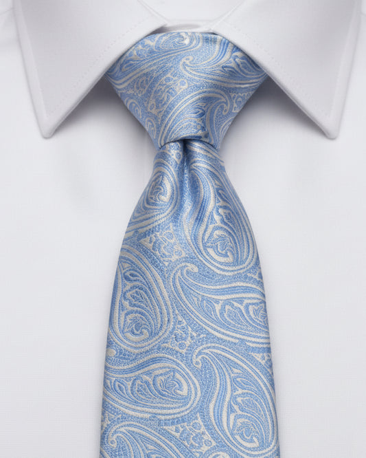 The Silver Sky Paisley Tie